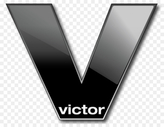 Licencja oprogramowanie victor Professional na jedno dodatkowe jednoczesne połączenie klienta